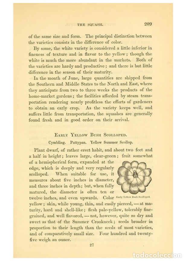 Collezionismo di Riviste e Giornali: Reproducci&oacute;n/Reproduction 6002095285: The field and garden vegetables of America Boston,Crosby and N