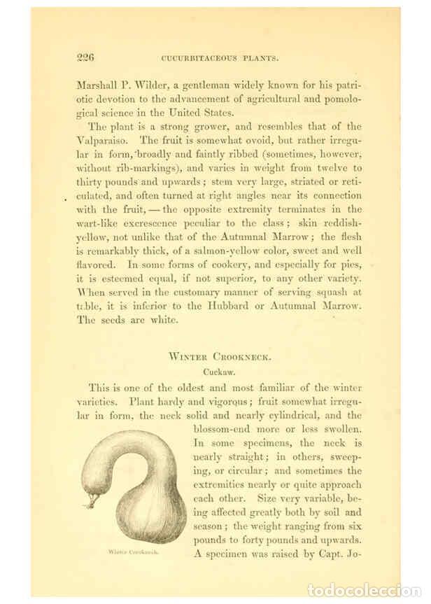 Collezionismo di Riviste e Giornali: Reproducci&oacute;n/Reproduction 6002644180: The field and garden vegetables of America Boston,Crosby and N