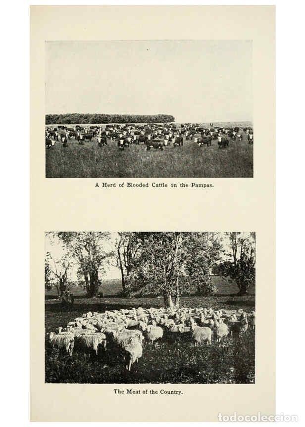 Collezionismo di Riviste e Giornali: Reproducci&oacute;n/Reproduction 6002312547: To the River Plate and back New York :G.P. Putnam's Sons,1913