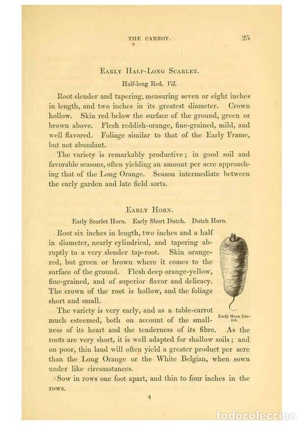 Collezionismo di Riviste e Giornali: Reproducci&oacute;n/Reproduction 6002633712: The field and garden vegetables of America Boston,Crosby and N