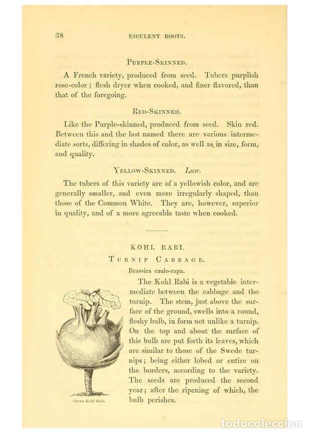 Colecionismo de Revistas e Jornais: Reproducci&oacute;n/Reproduction 6002088901: The field and garden vegetables of America Boston,Crosby and N