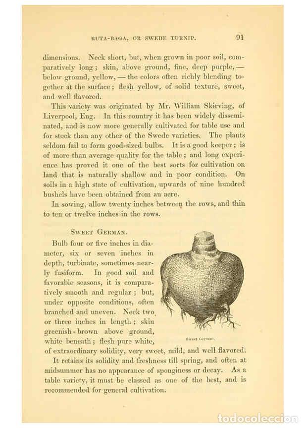 Colecionismo de Revistas e Jornais: Reproducci&oacute;n/Reproduction 6002637218: The field and garden vegetables of America Boston,Crosby and N