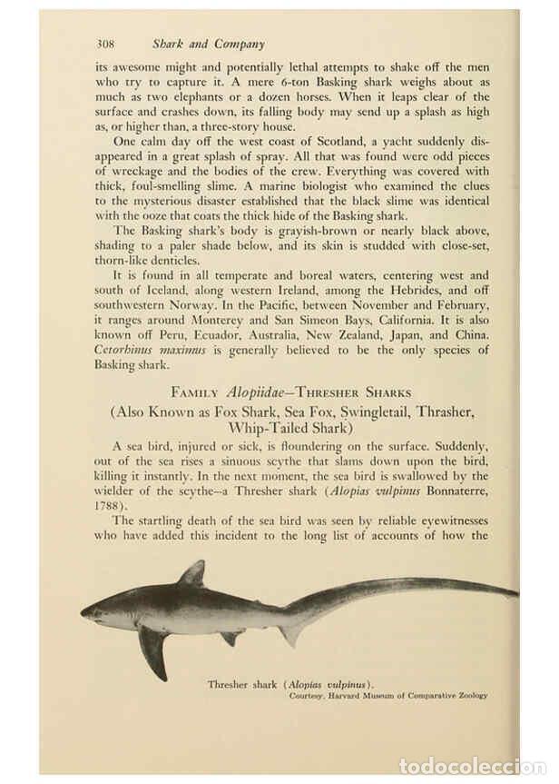 Coleccionismo de Revistas y Peri&oacute;dicos: Reproducci&oacute;n/Reproduction 6001746024: Shadows in the sea Philadelphia,Chilton Books[1963] - Harold W