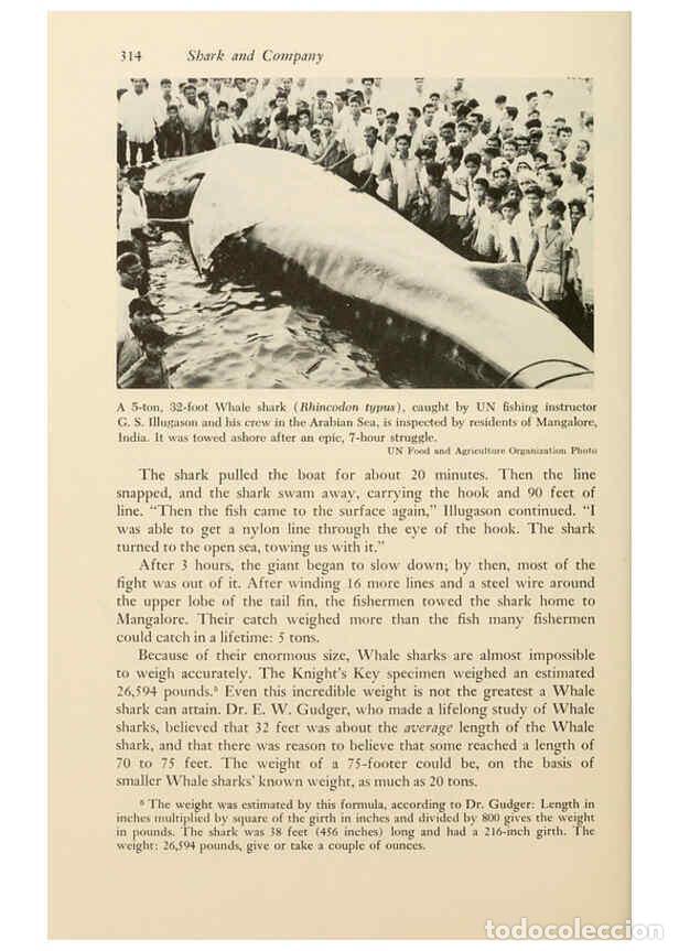 Colecionismo de Revistas e Jornais: Reproducci&oacute;n/Reproduction 6001199221: Shadows in the sea Philadelphia,Chilton Books[1963] - Harold W