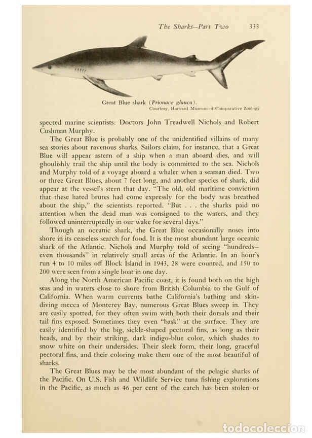 Colecionismo de Revistas e Jornais: Reproducci&oacute;n/Reproduction 6001750560: Shadows in the sea Philadelphia,Chilton Books[1963] - Harold W