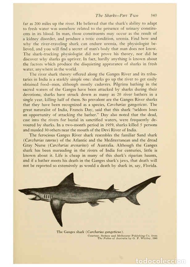 Colecionismo de Revistas e Jornais: Reproducci&oacute;n/Reproduction 6001751608: Shadows in the sea Philadelphia,Chilton Books[1963] - Harold W