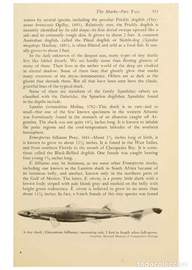 Colecionismo de Revistas e Jornais: Reproducci&oacute;n/Reproduction 6001204337: Shadows in the sea Philadelphia,Chilton Books[1963] - Harold W