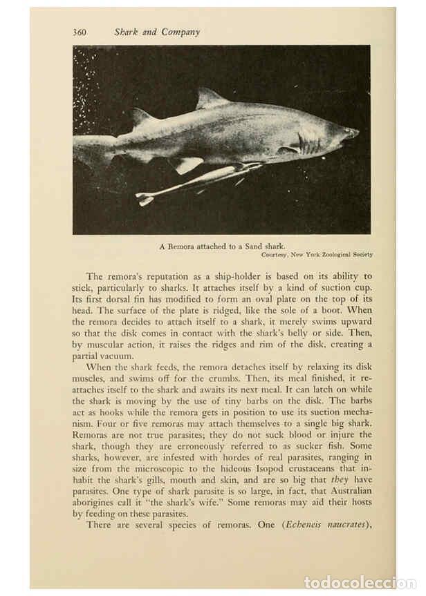 Colecionismo de Revistas e Jornais: Reproducci&oacute;n/Reproduction 6001205421: Shadows in the sea Philadelphia,Chilton Books[1963] - Harold W