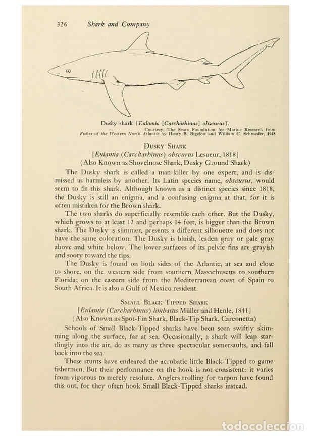 Colecionismo de Revistas e Jornais: Reproducci&oacute;n/Reproduction 6001749678: Shadows in the sea Philadelphia,Chilton Books[1963] - Harold W