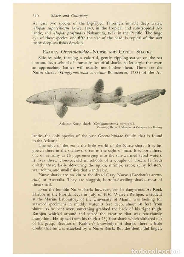 Colecionismo de Revistas e Jornais: Reproducci&oacute;n/Reproduction 6001198081: Shadows in the sea Philadelphia,Chilton Books[1963] - Harold W