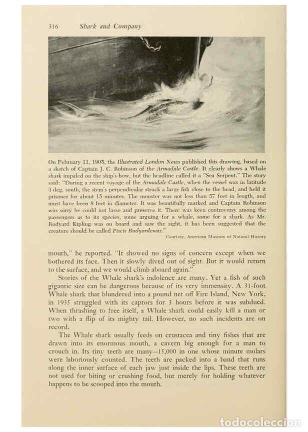 Colecionismo de Revistas e Jornais: Reproducci&oacute;n/Reproduction 6001747726: Shadows in the sea Philadelphia,Chilton Books[1963] - Harold W