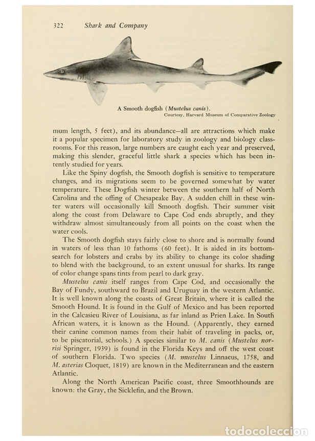 Colecionismo de Revistas e Jornais: Reproducci&oacute;n/Reproduction 6001200737: Shadows in the sea Philadelphia,Chilton Books[1963] - Harold W