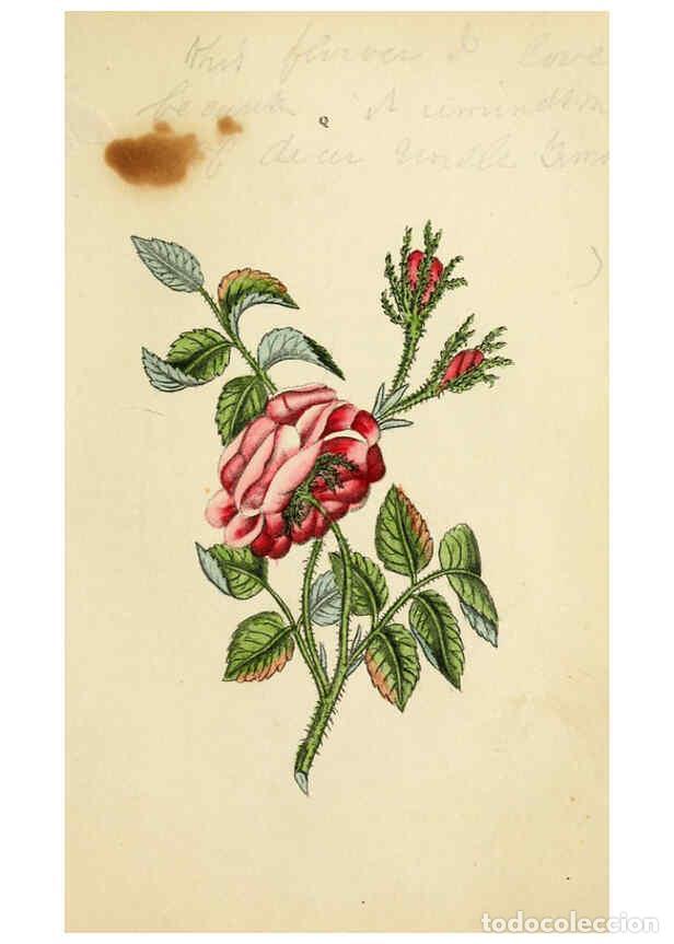 Colecionismo de Revistas e Jornais: Reproducci&oacute;n/Reproduction 5975091342: Flora and Thalia; or, Gems of flowers and poetry: being an al