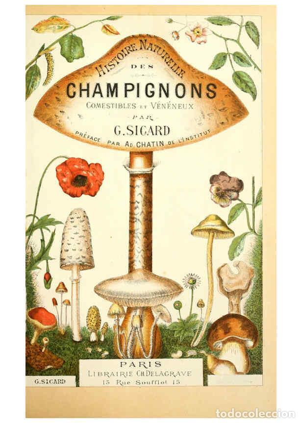 Coleccionismo de Revistas y Peri&oacute;dicos: Reproducci&oacute;n/Reproduction 5974659441: Histoire naturelle des champignons comestibles et v&eacute;n&eacute;neux Par