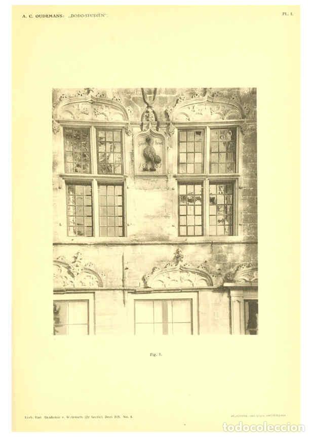 Sammeln von Zeitschriften und Zeitungen: Reproducci&oacute;n/Reproduction 5974722951: Dodo-studi&euml;n Amsterdam,J. M&uuml;ller,1917 - Anthonie Cornelis Oude