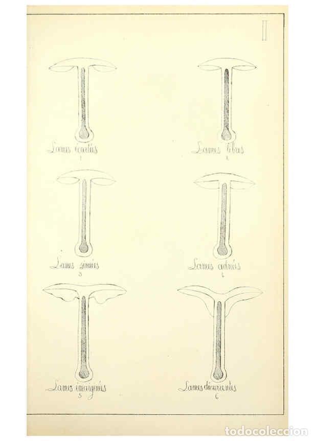 Sammeln von Zeitschriften und Zeitungen: Reproducci&oacute;n/Reproduction 5974659805: Histoire naturelle des champignons comestibles et v&eacute;n&eacute;neux Par