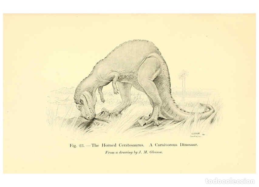 Sammeln von Zeitschriften und Zeitungen: Reproducci&oacute;n/Reproduction 5984592197: Animals of the past New York,McClure, Phillips & Co.,1901 - Fr