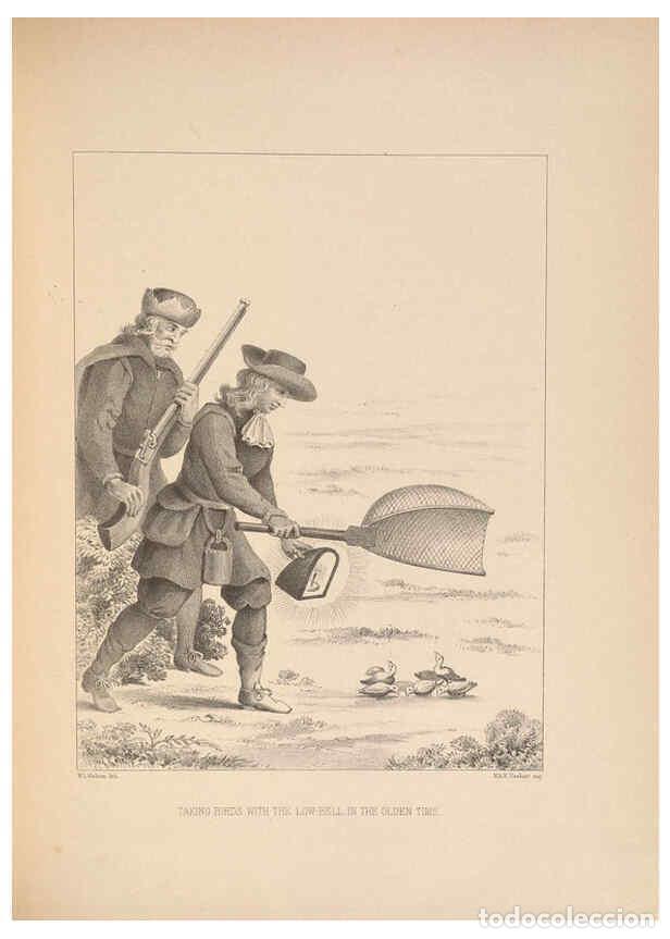 Colecionismo de Revistas e Jornais: Reproducci&oacute;n/Reproduction 5982044446: Ornithological miscellany V.2 London :Tr&uuml;bner and Co., Bernard