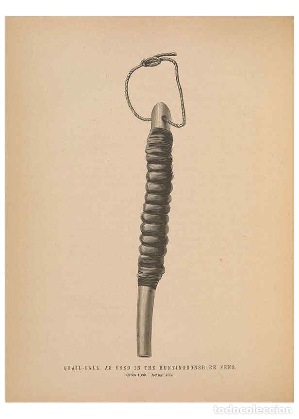 Colecionismo de Revistas e Jornais: Reproducci&oacute;n/Reproduction 5981485233: Ornithological miscellany V.2 London :Tr&uuml;bner and Co., Bernard