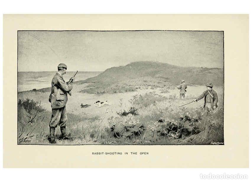 Collezionismo di Riviste e Giornali: Reproducci&oacute;n/Reproduction 5981716655: The rabbit London,Longmans,1898 - James Edmund Harting