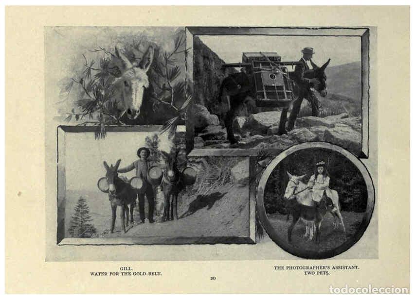 Collezionismo di Riviste e Giornali: Reproducci&oacute;n/Reproduction 6025805868: The Burro book Pueblo, Colo. :S.M. McCandless,c1900 - S. M. Mc