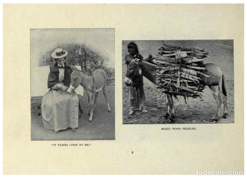 Collezionismo di Riviste e Giornali: Reproducci&oacute;n/Reproduction 6025803544: The Burro book Pueblo, Colo. :S.M. McCandless,c1900 - S. M. Mc