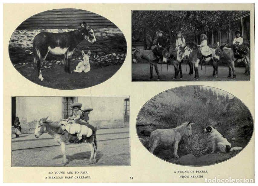Collezionismo di Riviste e Giornali: Reproducci&oacute;n/Reproduction 6025804720: The Burro book Pueblo, Colo. :S.M. McCandless,c1900 - S. M. Mc