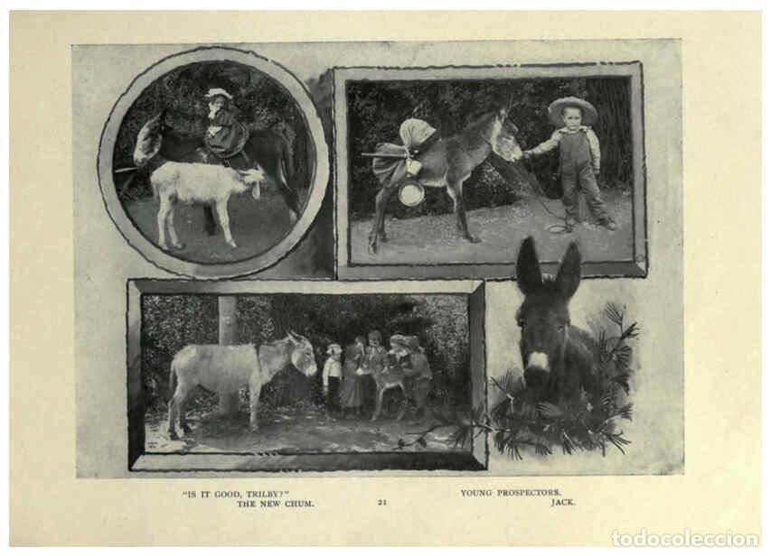 Collezionismo di Riviste e Giornali: Reproducci&oacute;n/Reproduction 6025250977: The Burro book Pueblo, Colo. :S.M. McCandless,c1900 - S. M. Mc