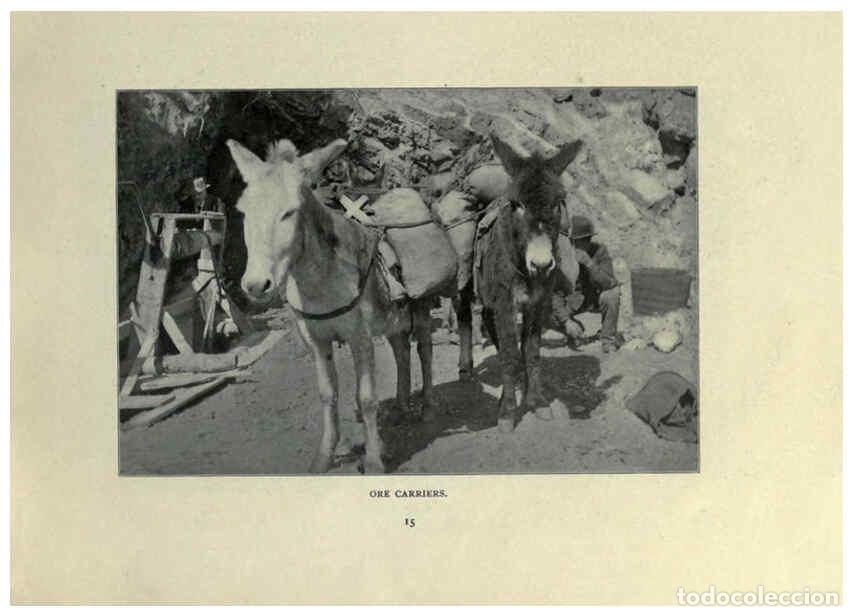 Collezionismo di Riviste e Giornali: Reproducci&oacute;n/Reproduction 6025249937: The Burro book Pueblo, Colo. :S.M. McCandless,c1900 - S. M. Mc