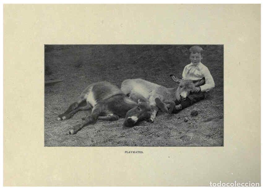 Collezionismo di Riviste e Giornali: Reproducci&oacute;n/Reproduction 6025802736: The Burro book Pueblo, Colo. :S.M. McCandless,c1900 - S. M. Mc