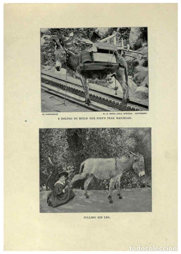 Collezionismo di Riviste e Giornali: Reproducci&oacute;n/Reproduction 6025248795: The Burro book Pueblo, Colo. :S.M. McCandless,c1900 - S. M. Mc