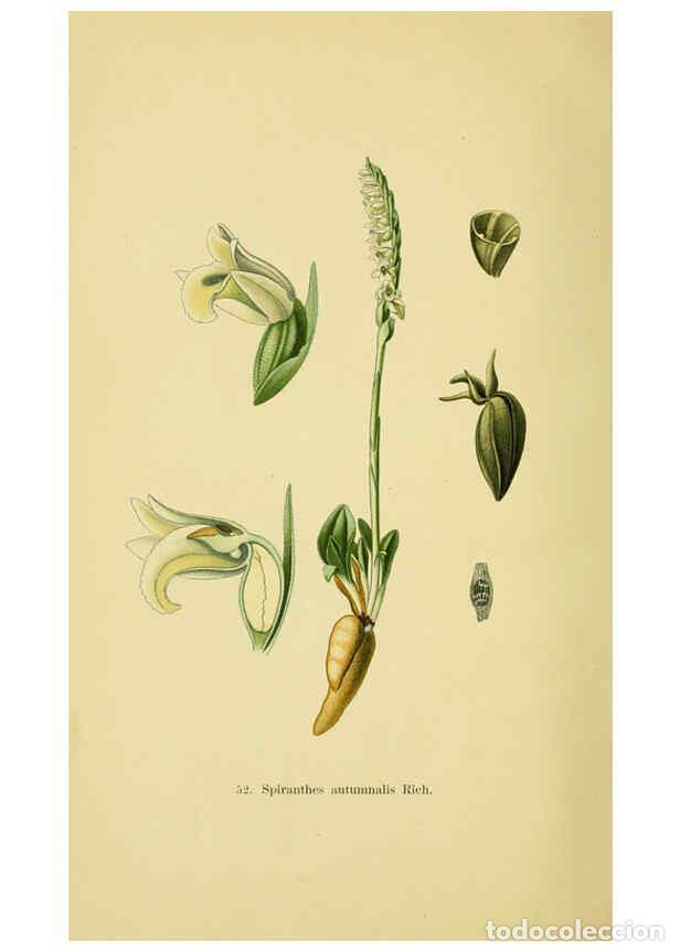 Colecionismo de Revistas e Jornais: Reproducci&oacute;n/Reproduction 6022129742: Abbildungen der in Deutschland und den angrenzenden gebieten v