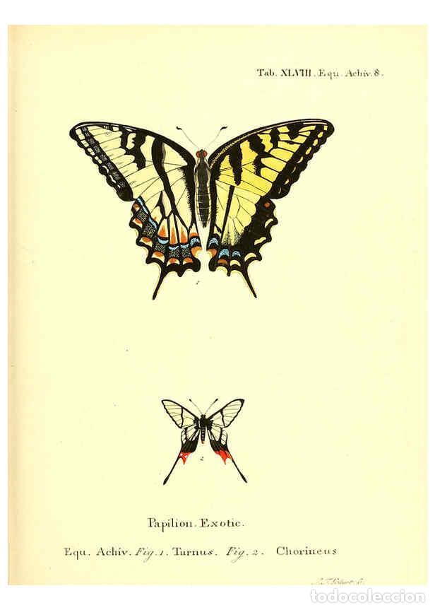 Colecionismo de Revistas e Jornais: Reproducci&oacute;n/Reproduction 6012547494: Die ausl&auml;ndischen Schmetterlinge in Abbildungen nach der Natur