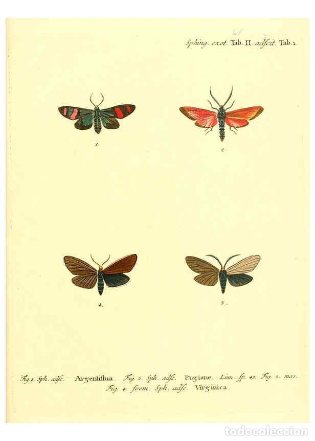 Collectionnisme de Revues et Journaux: Reproducci&oacute;n/Reproduction 6012004263: Die ausl&auml;ndischen Schmetterlinge in Abbildungen nach der Natur