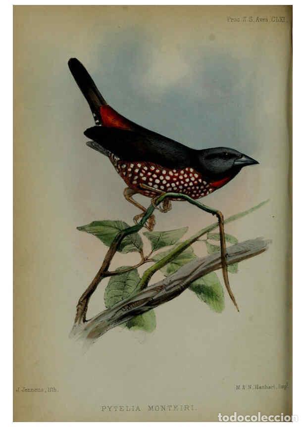 Collectionnisme de Revues et Journaux: Reproducci&oacute;n/Reproduction 6005659515: Proceedings of the Zoological Society of London. 1860. London