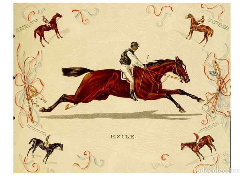 Coleccionismo de Revistas y Peri&oacute;dicos: Reproducci&oacute;n/Reproduction 6012487858: Album of celebrated American and English running horses. New Y