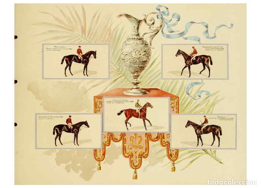 Coleccionismo de Revistas y Peri&oacute;dicos: Reproducci&oacute;n/Reproduction 6012488038: Album of celebrated American and English running horses. New Y