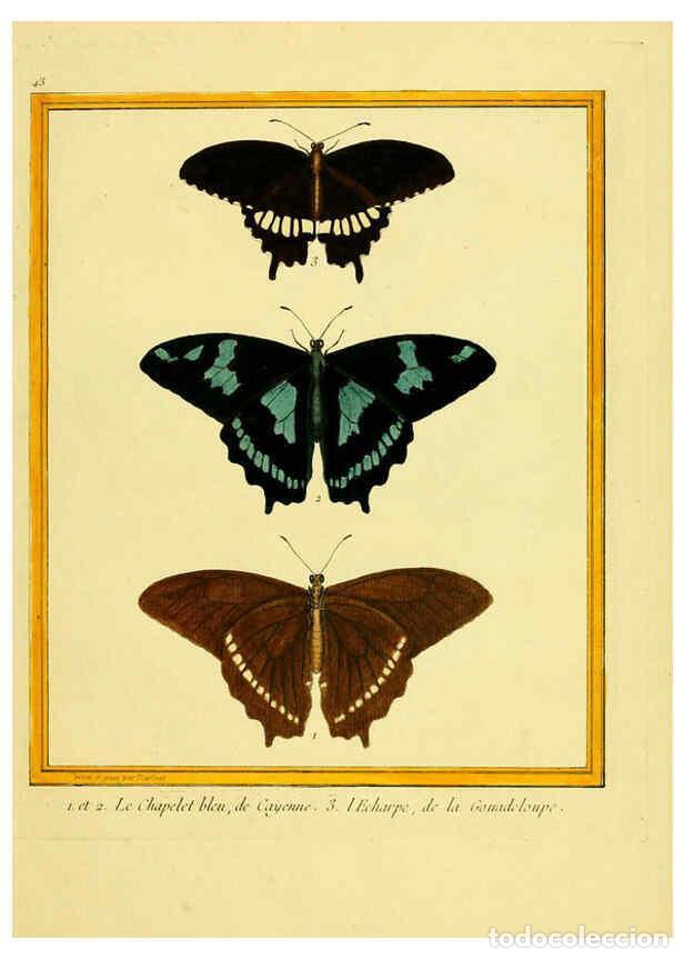 Collectionnisme de Revues et Journaux: Reproducci&oacute;n/Reproduction 6009194556: Planches enlumin&eacute;es d'histoire naturelle t.1 Paris? :s.n.,1765