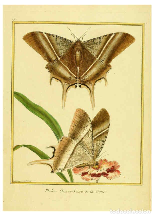 Collectionnisme de Revues et Journaux: Reproducci&oacute;n/Reproduction 6008638839: Planches enlumin&eacute;es d'histoire naturelle t.1 Paris? :s.n.,1765