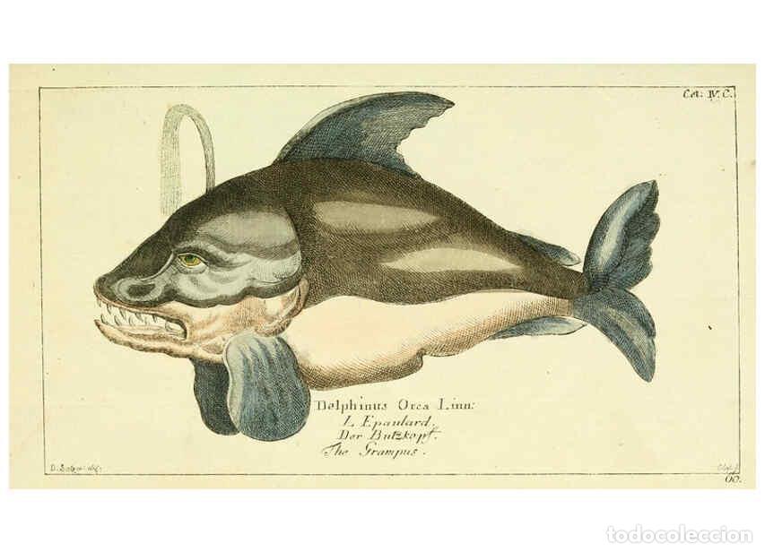 Colecionismo de Revistas e Jornais: Reproducci&oacute;n/Reproduction 6008531145: Gemeinn&uuml;zzige Naturgeschichte des Thierreichs bd 2 plates Berl