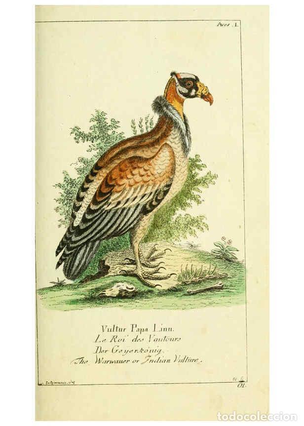 Colecionismo de Revistas e Jornais: Reproducci&oacute;n/Reproduction 6008531359: Gemeinn&uuml;zzige Naturgeschichte des Thierreichs bd 2 plates Berl