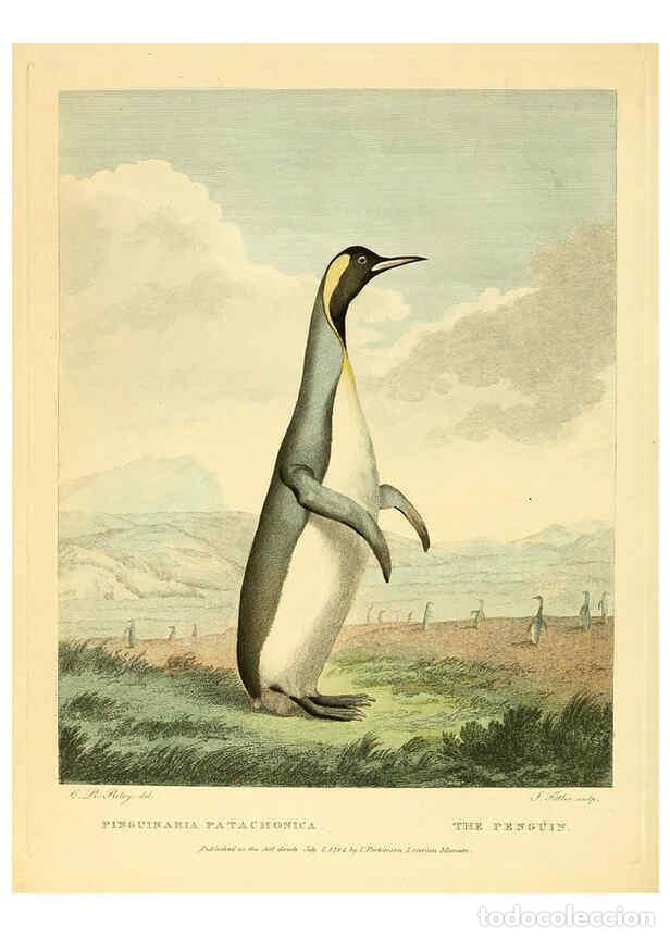 Sammeln von Zeitschriften und Zeitungen: Reproducci&oacute;n/Reproduction 6059576340: Musei Leveriani explicatio, anglica et latina [London] :Impens