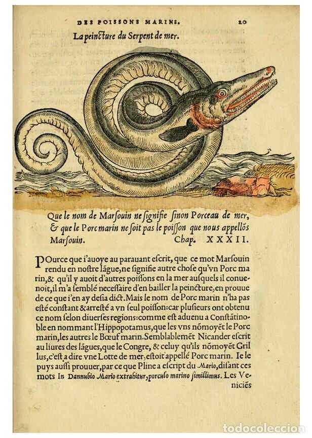 Collectionnisme de Revues et Journaux: Reproducci&oacute;n/Reproduction 5998390933: L'histoire naturelle des estranges poissons marins A Paris :De