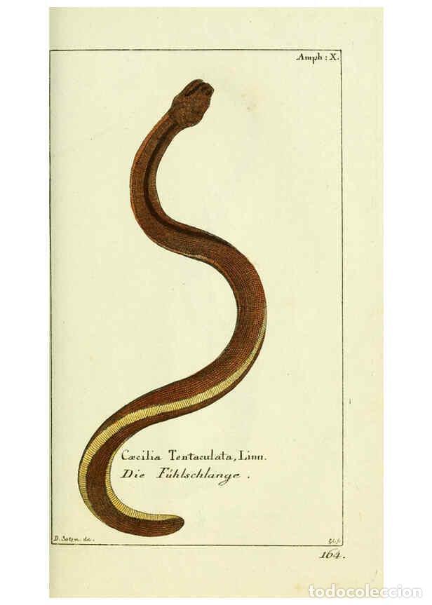 Coleccionismo de Revistas y Peri&oacute;dicos: Reproducci&oacute;n/Reproduction 5988321094: Gemeinn&uuml;zzige Naturgeschichte des Thierreichs bd. 4 plates Ber