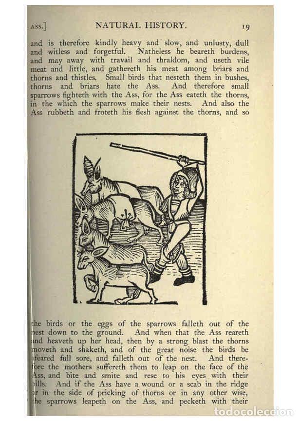 Collectionnisme de Revues et Journaux: Reproducci&oacute;n/Reproduction 5998597421: Natural history in Shakespeare's time London :E. Stock,1896 -