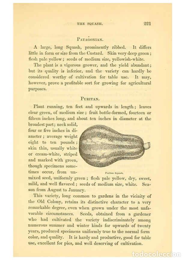 Collezionismo di Riviste e Giornali: Reproducci&oacute;n/Reproduction 6002096889: The field and garden vegetables of America Boston,Crosby and N