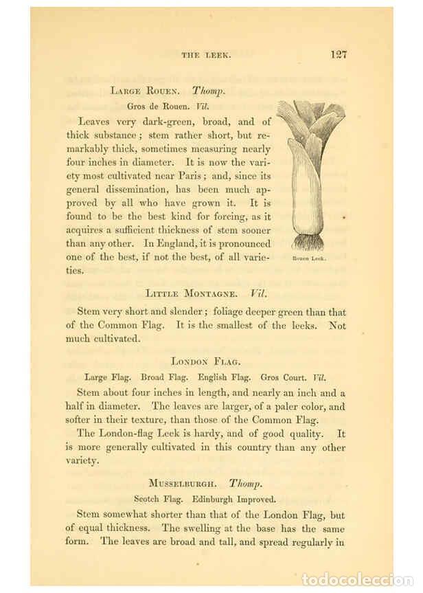 Collezionismo di Riviste e Giornali: Reproducci&oacute;n/Reproduction 6002092363: The field and garden vegetables of America Boston,Crosby and N