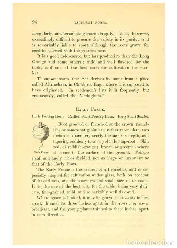 Collezionismo di Riviste e Giornali: Reproducci&oacute;n/Reproduction 6002086593: The field and garden vegetables of America Boston,Crosby and N