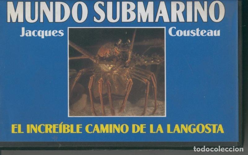 Colecionismo de Revistas e Jornais: Video VHS: Jacques Cousteau: Mundo Submarino numero 36: El increible camino de la langosta - Varios