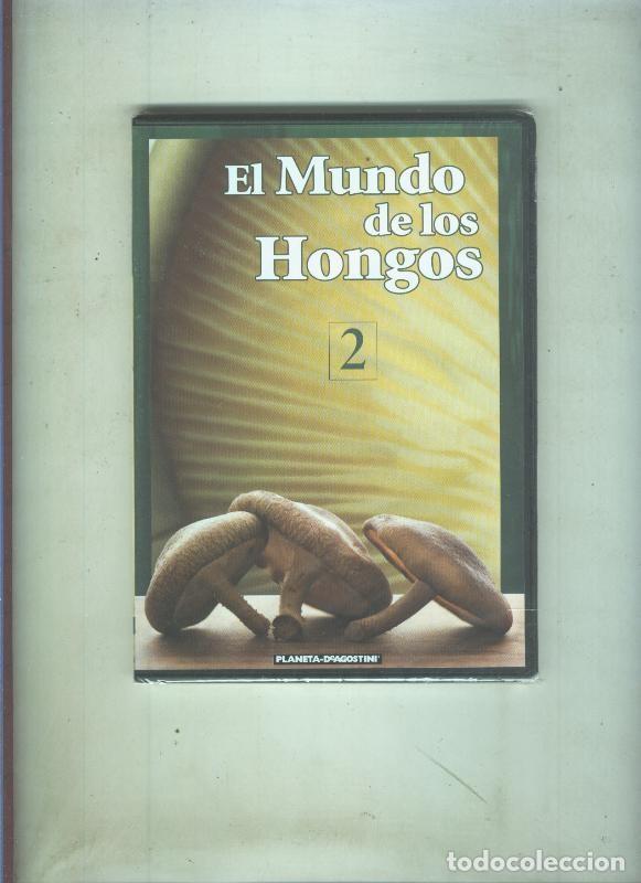Sammeln von Zeitschriften und Zeitungen: DVD: El mundo de las setas-El mundo de los hongos numero 2 - Varios